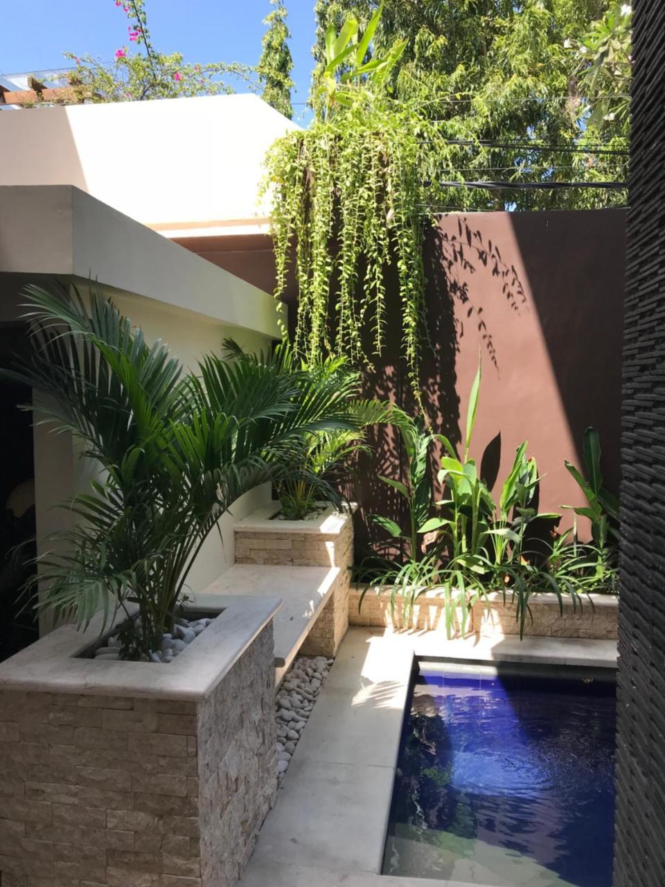 Anyelir * Seminyak